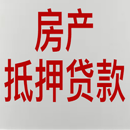 岳阳楼贷款公司新渝启服推荐选择